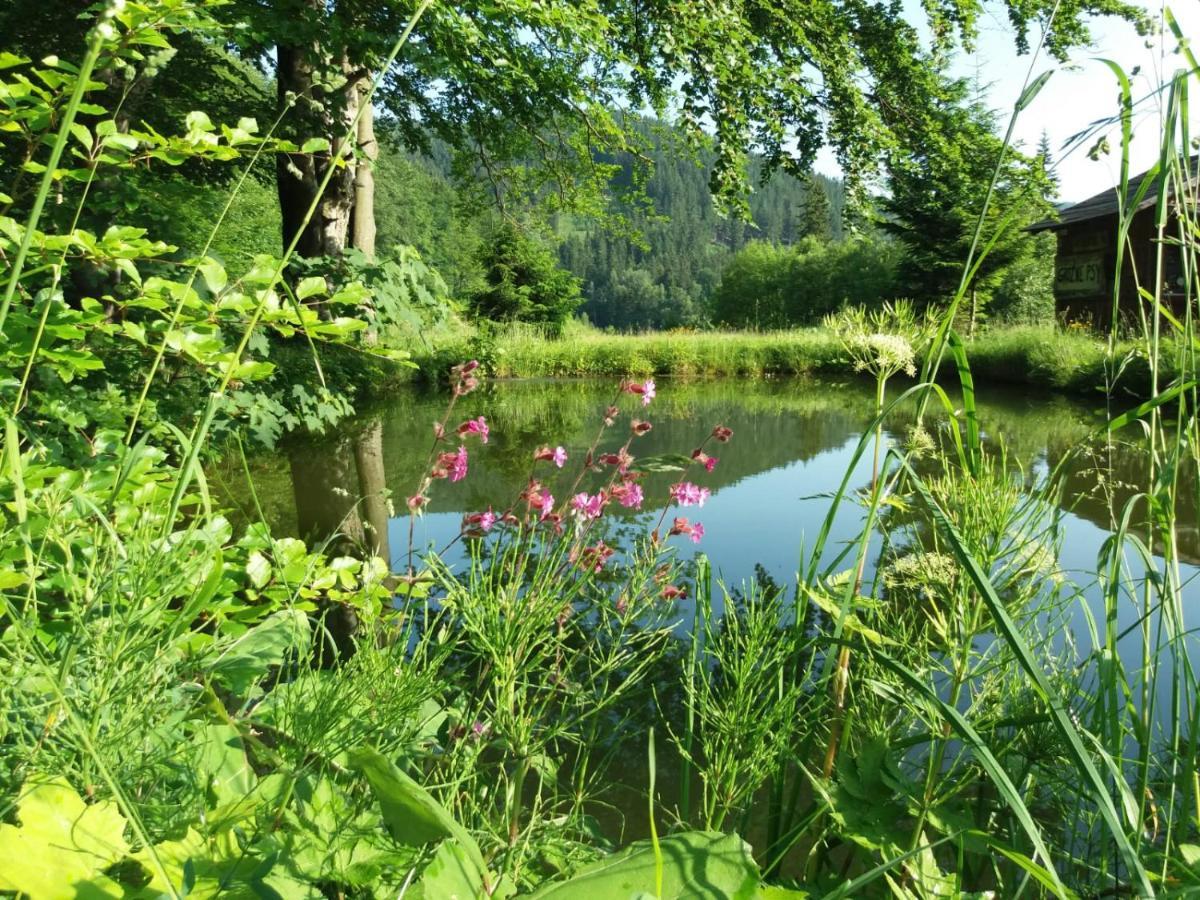 Zbojnicki Ostep-Nocleg Trapera Kletno Esterno foto